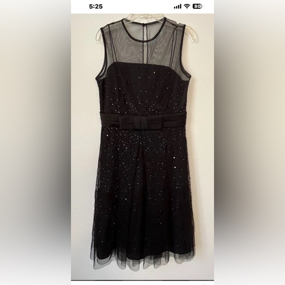 Ann Taylor Party Dress Sequins with Mesh Neckline with Tulle Sequins Body - Picture 12 of 12
